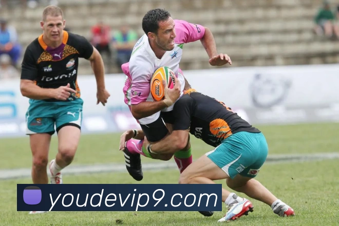 多彩内容专区